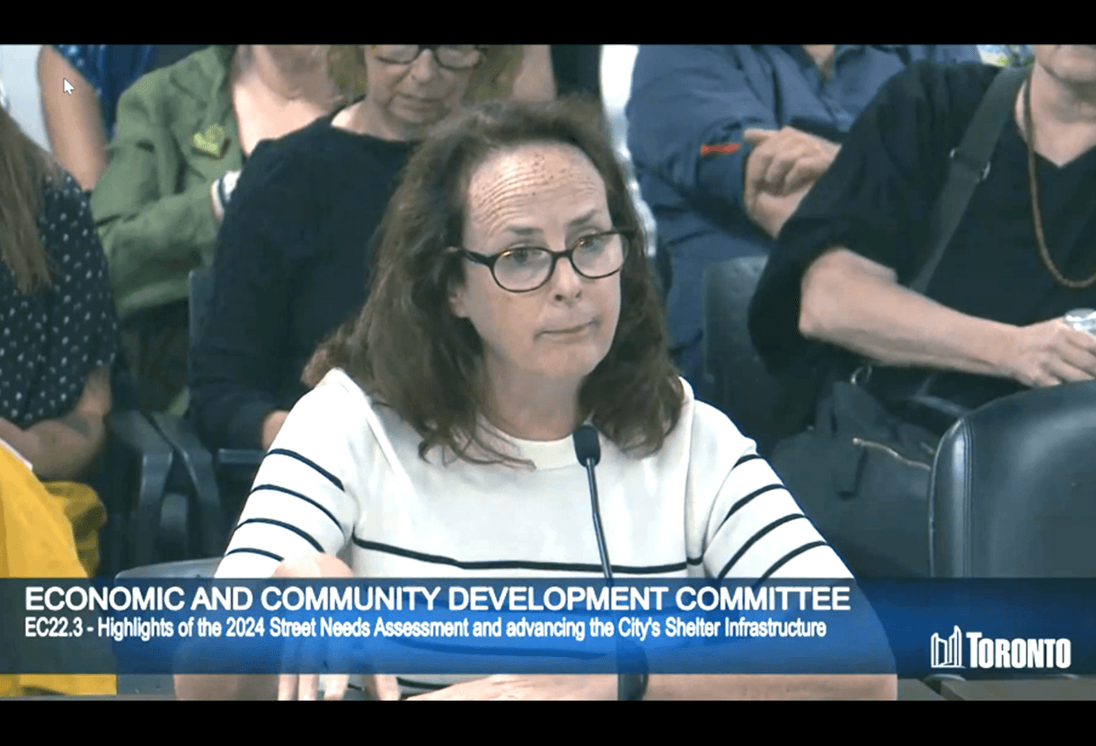 photo: Elizabeth McIsaac deputing to the Economic and Community Development Committee, City of Toronto