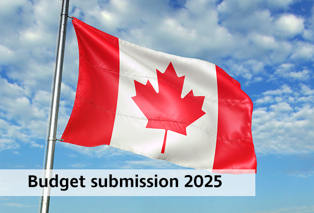 image: Budget submission 2025 with Canada flag (iStockphoto)